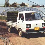 ハウスから田んぼへ