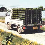 軽トラックの荷台の様子
